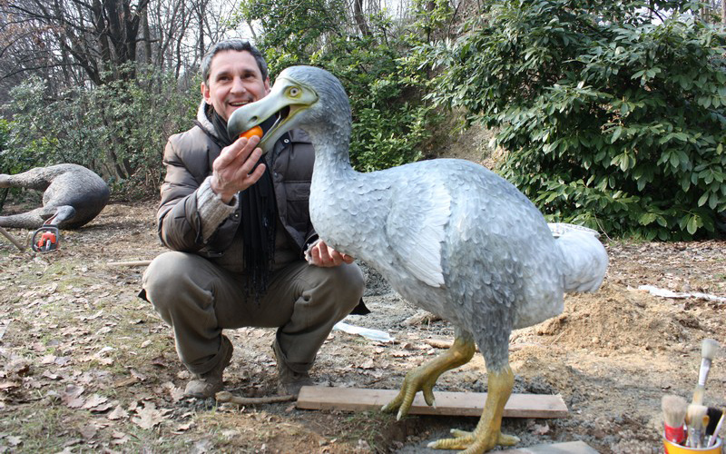 Đặc điểm của chim Dodo